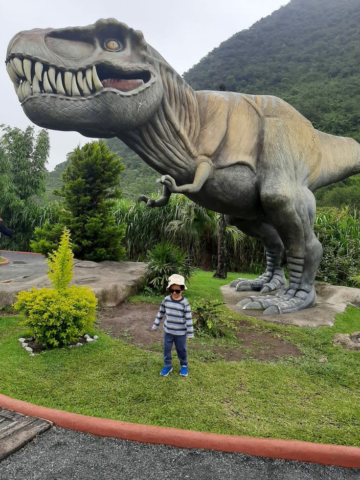 image descriprion
